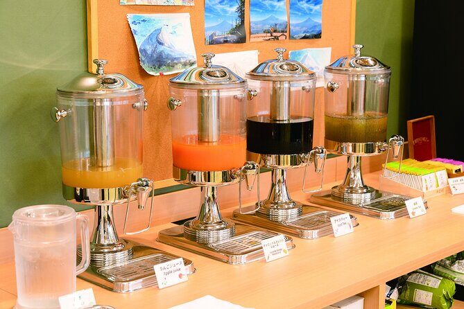 Lake Kawaguchi E-Scooter Rental - Practical Details and Tips