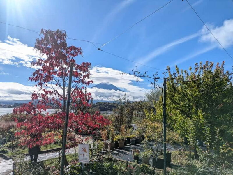 Lake Kawaguchi: Half day Private Tour with local guide - Final Thoughts