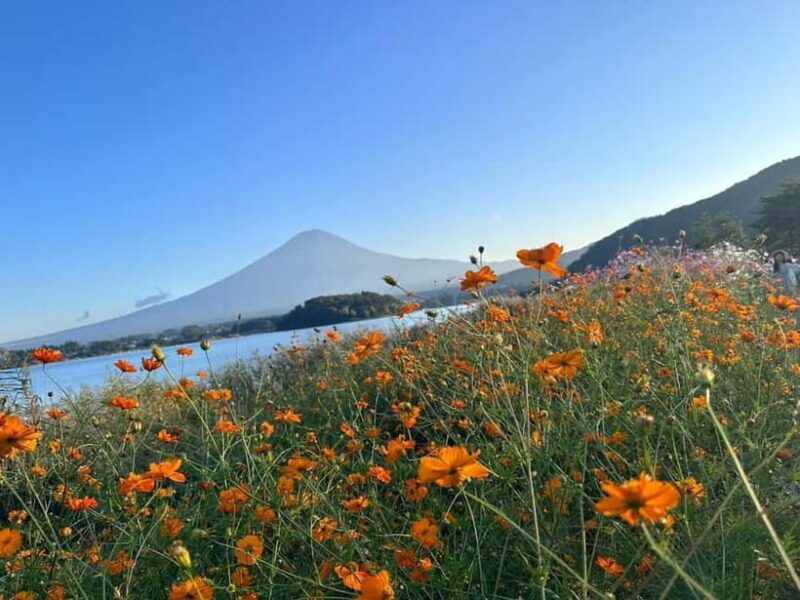 Lake Kawaguchi: Half day Private Tour with local guide - FAQ