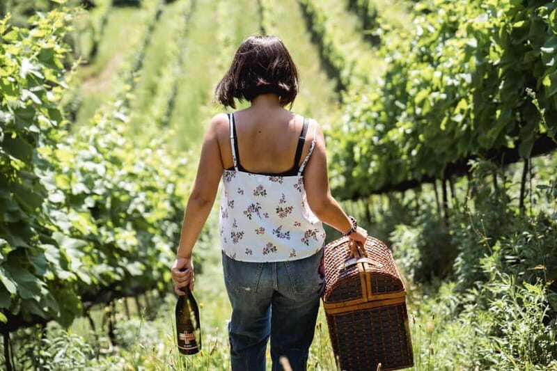 Lake Ledro: wine Pic Nic with stunning Lake View - Frequently Asked Questions