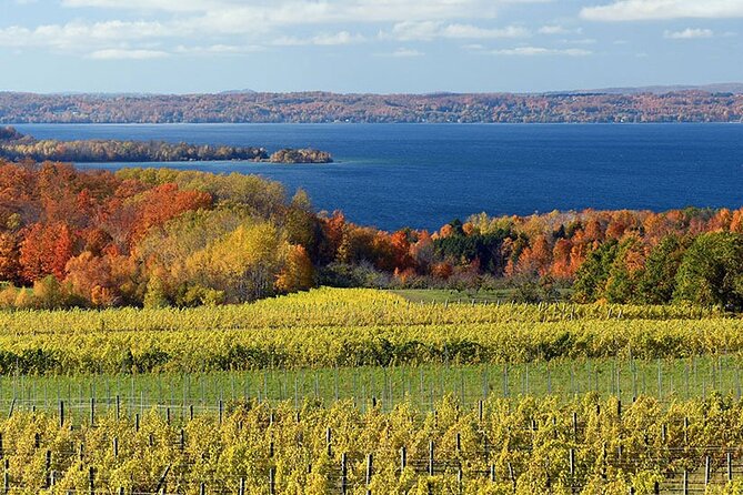 Lake Leelanau 4 Hour Tour - Tour Highlights
