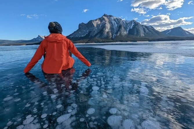 Lake Louise & Abraham Lake 1-Day Tour (Small Group) - Pricing and Booking