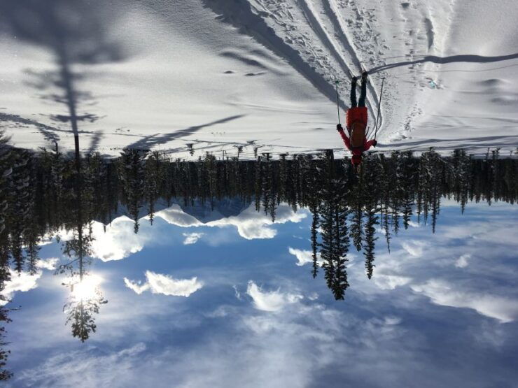Lake Louise: Cross Country Skiing Lesson With Tour - Experience Overview