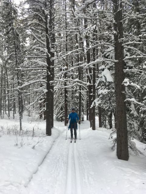 Lake Louise: Cross Country Skiing Lesson With Tour - Ticket Information