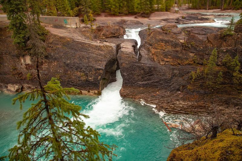 Lake Louise, Emerald Lake, Takakkaw Falls and Marble Canyon Tour - Guides, group size and the pace on the road