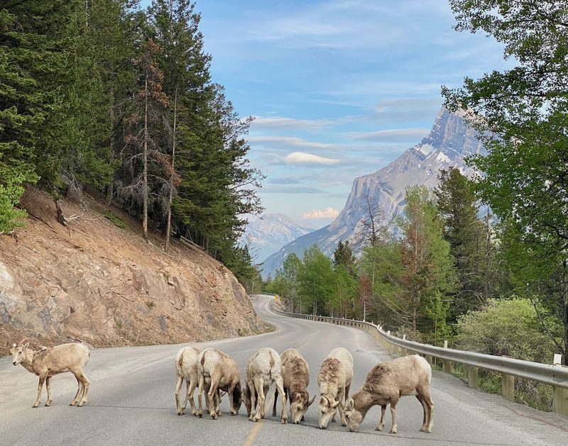Lake Louise, Emerald Lake, Takakkaw Falls and Marble Canyon Tour - What to pack and who should book