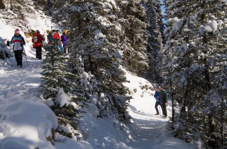 Lake Louise Hiking Tour - Experience Highlights