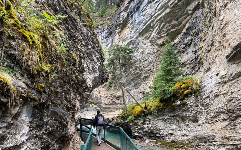 Lake Louise & Johnson Canyon Bus Tour from Canmore or Banff - What to know before you go
