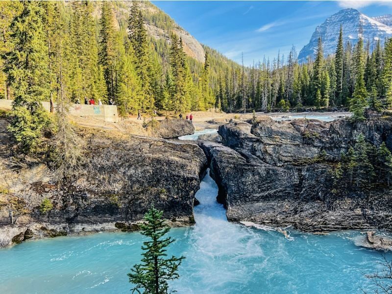 Lake Louise, Moraine/Bow, Emerald and Peyto Lake-4 Lakes tour in Banff - Emerald Lake: a change of pace and color