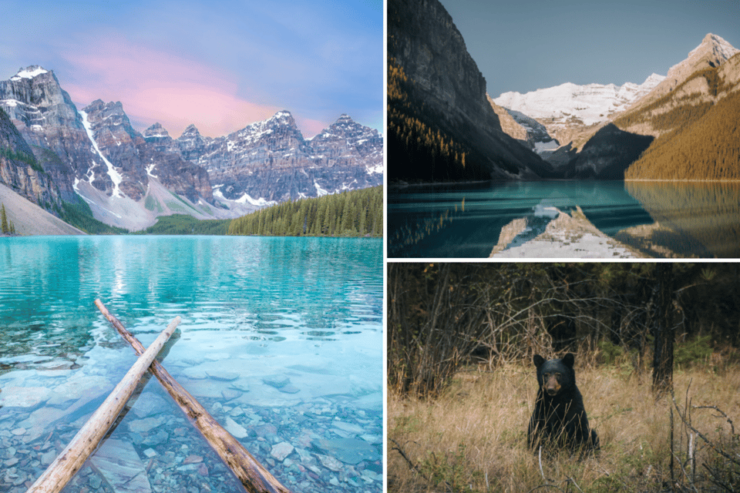 Lake Louise & Moraine Lake (2h Each) From Canmore & Banff - Itinerary and Experience