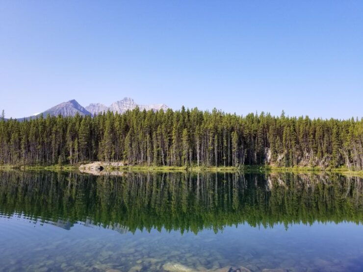 Lake Louise, Moraine Lake and Peyto Lake Full Day Tour - Good To Know