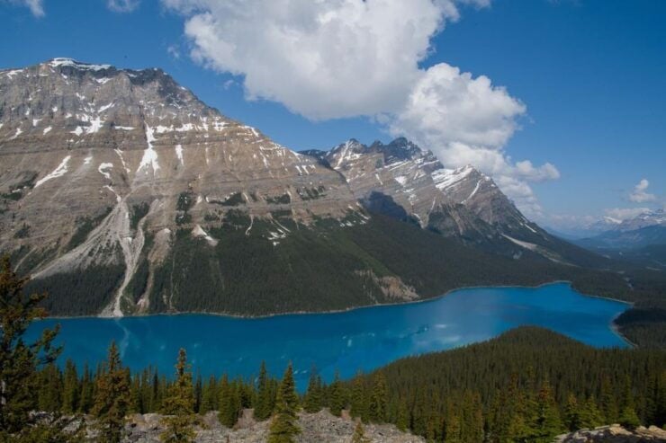 Lake Louise, Moraine Lake and Peyto Lake Full Day Tour - Tour Highlights