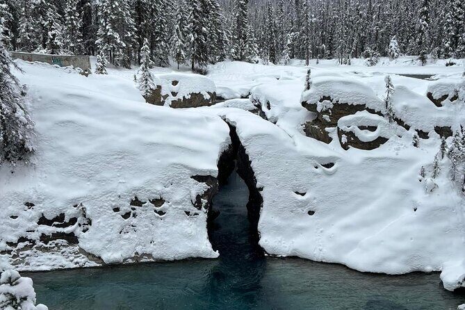 Lake Louise, Moraine Lake, Emerald Lake and Johnston Canyon Tour - A Deep Dive into the Itinerary