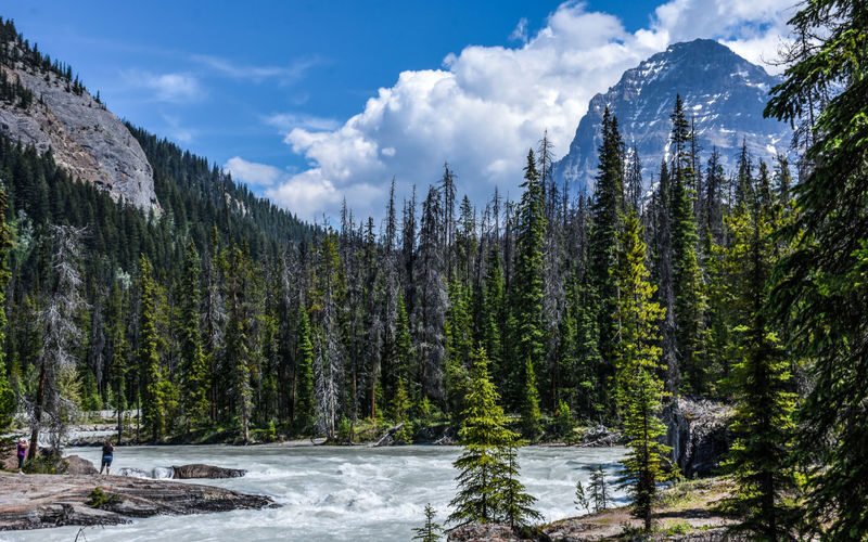 Lake Louise, Moraine Lake, Emerald Lake Day Tour from Banff/Calgary/Canmore - The useful details at a glance