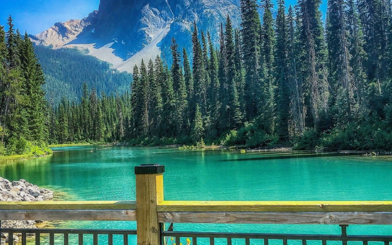 Lake Louise, Moraine Lake, Emerald Lake Day Tour from Banff/Calgary/Canmore - Three lakes, one long day