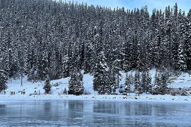 Lake Louise, Moraine Lake, Peyto Lake, Crowfoot Tour from Calgary - What You’ll See and Do