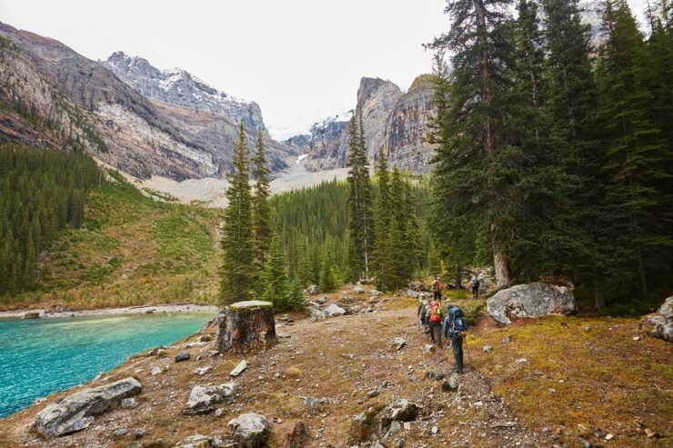 Lake Louise: Moraine & Louise Lake Half-Day Highlights Tour - Good To Know