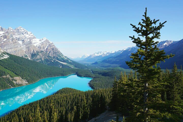 Lake Louise, Moraine & Peyto Lakes Full-Day Tour - What to check before you reserve
