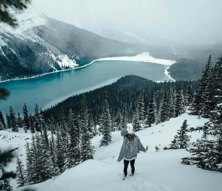 Lake Louise, Peyto Lake, Johnston Canyon & Icefields Parkway - Pricing and Value