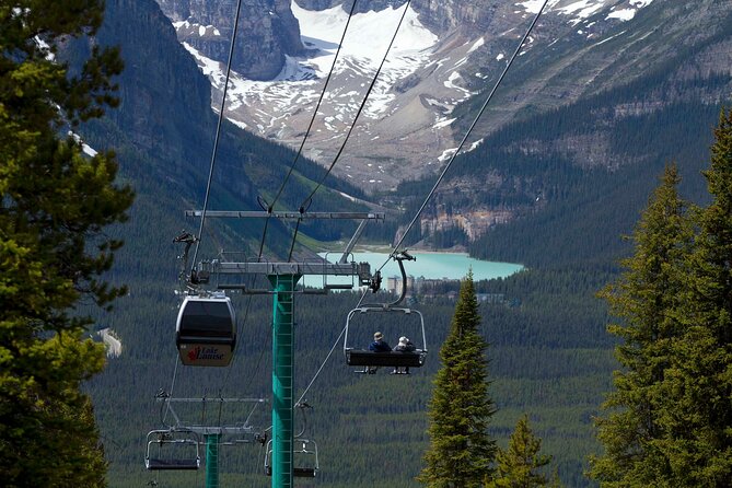 Lake Louise Summer Gondola Experience - Wildlife Encounters