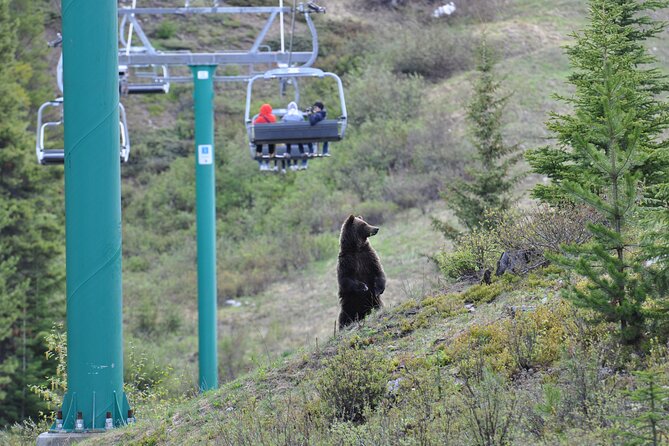 Lake Louise Summer Gondola Experience - Cancellation Policy