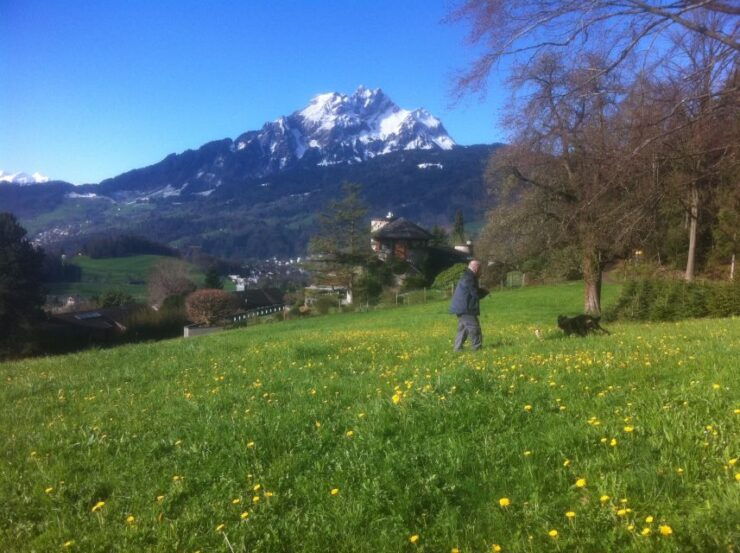 Lake Lucerne Half-day Countryside Walk - Activity Details