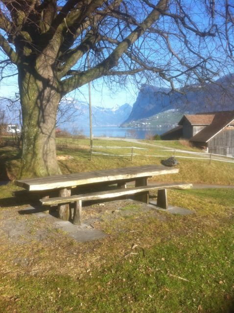 Lake Lucerne Half-day Countryside Walk - Experience Highlights