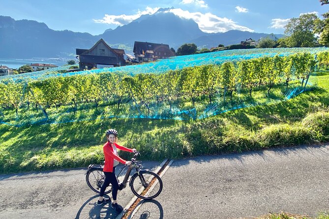 Lake Lucerne Peninsula E-Bike Tour - What To Expect