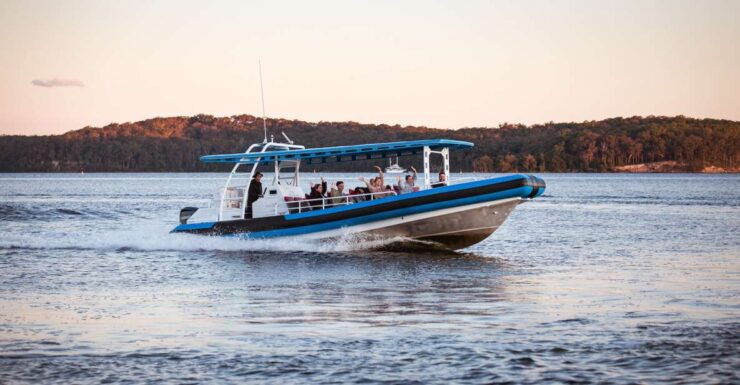 Lake Macquarie: Cruise and Guided Nature Walk With Lunch - Experience Highlights