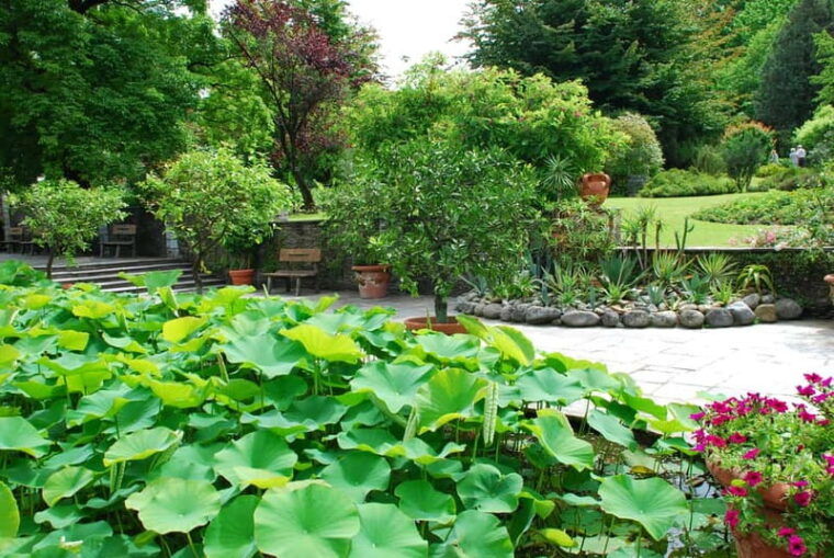 Lake Maggiore Gardens: Botanical Gardens Gourmet Food Cruise - Why This Tour Offers Good Value