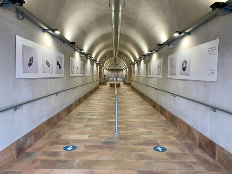 Lake Maggiore: Santa Caterina del Sasso Hermitage Ticket - Good To Know