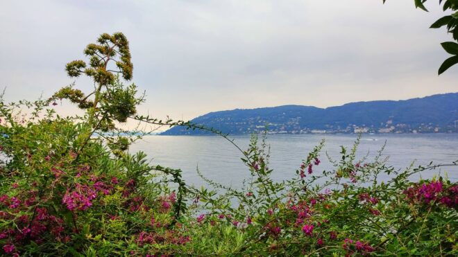 Lake Maggiore: Stresa and Isola Madre Private Tour - Inclusions
