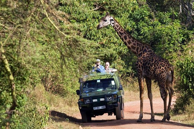 Lake Manyara National Park Full-Day Tour From Arusha - Frequently Asked Questions