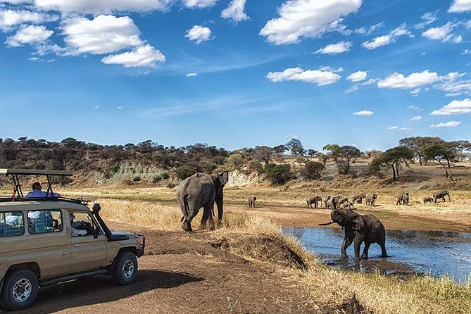 Lake Manyara National Park Guided Day Trip From Arusha - Key Highlights