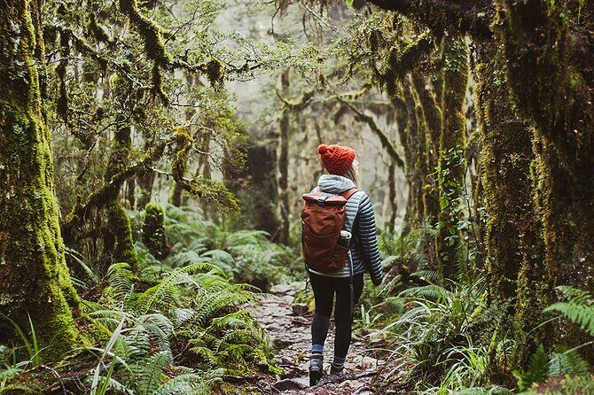 Lake Marian Guided Hike with Transfers, Lunch & Morning Tea - Good To Know