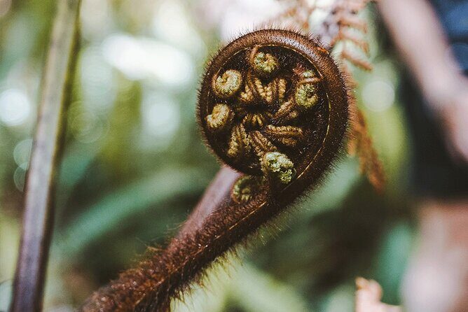 Lake Marian Guided Hike with Transfers, Lunch & Morning Tea - Final Thoughts