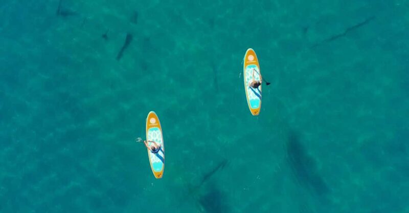 Lake Mead: Paddle Board Rental - Exploring Lake Mead: Paddle Board Rental – An Authentic Adventure on the Water
