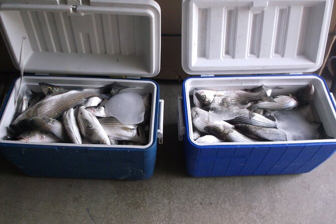 Lake Mead Striped Bass Fishing Getaway - Booking and Participation Information