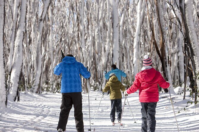 Lake Mountain Snow play and Steavenson Falls from Melburne - Practical Details and What to Expect