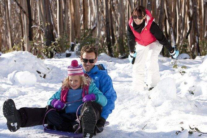 Lake Mountain Snow play and Steavenson Falls from Melburne - Who Will Love This Tour?