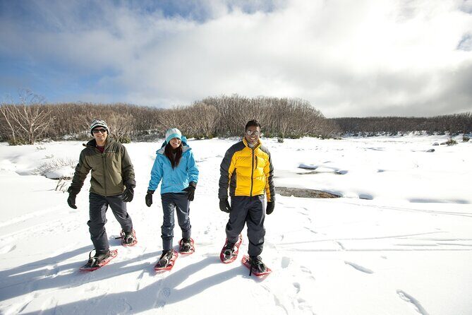 Lake Mountain Snow play and Steavenson Falls from Melburne - The Sum Up: Who’s This Tour For?