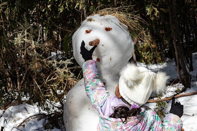 Lake Mountain Snow Tour - Final Thoughts