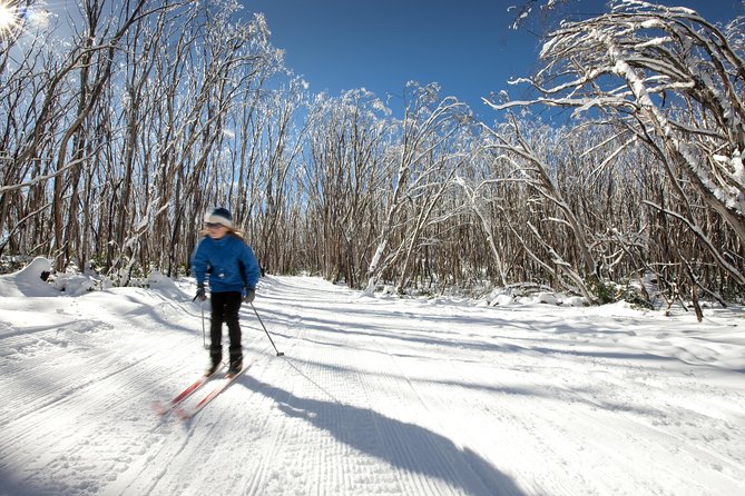 Lake Mountain Snow Trip Including Yarra Valley Chocolaterie From Melbourne - Lake Mountain Alpine Resort