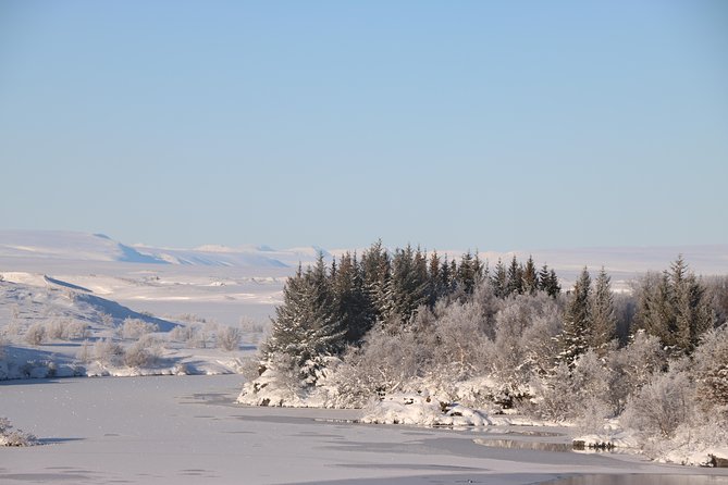 Lake Mývatn and Powerful Dettifoss Day Tour From Akureyri - Traveler Reviews and Ratings