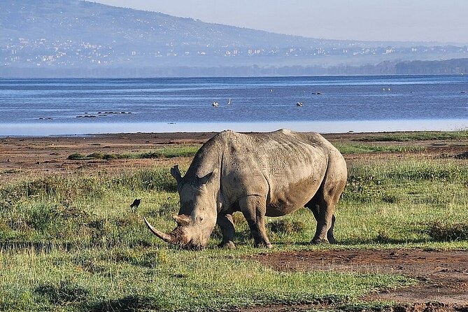 Lake Naivasha And Lake Nakuru Overnight Tour - Inclusions and Exclusions