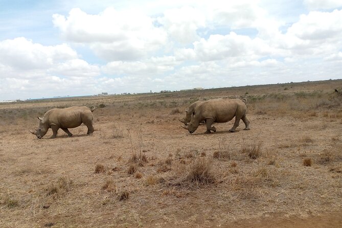 Lake Naivasha And Lake Nakuru Overnight Tour - What To Expect