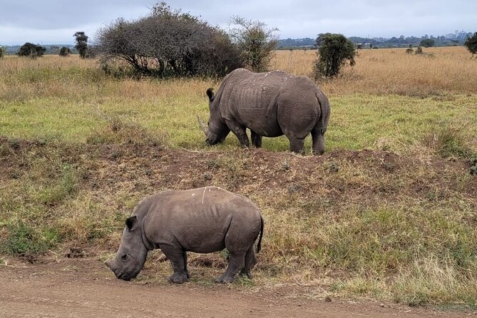 Lake Naivasha And Lake Nakuru Overnight Tour - Safety Information