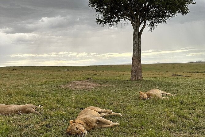 Lake Naivasha And Lake Nakuru Overnight Tour - Booking Confirmation