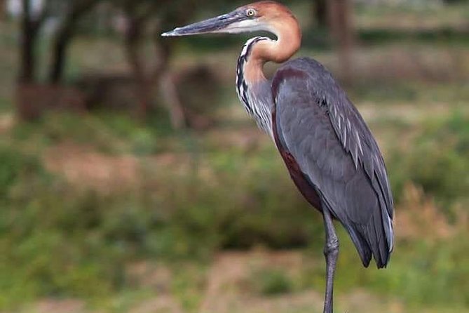 Lake Naivasha Day Trip - Frequently Asked Questions