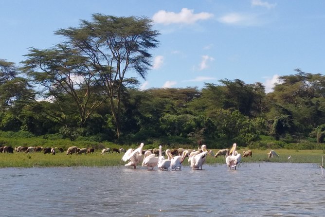 Lake Naivasha, Nakuru Day Excursion - Inclusions and Exclusions
